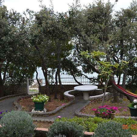 Apartment Palatisa Kožino المظهر الخارجي الصورة