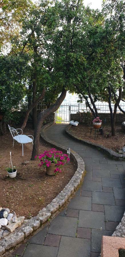 Apartment Palatisa Kožino المظهر الخارجي الصورة